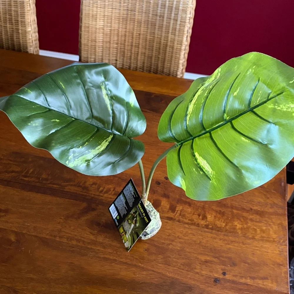 New Exo-Terra Smart Plant Scindapsus Ideal for Terrariums